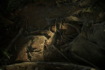 北アルプス 燕岳 大天井岳 槍ヶ岳 表銀座縦走 13