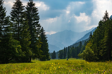 Green valley and blue clouds