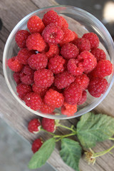 Raspberry berry on the bench
