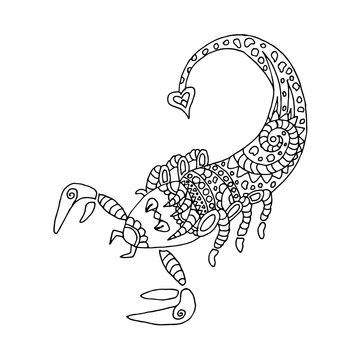 Scorpion hand drawn zentangle. Adult antistress coloring page - vector illustration