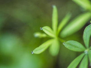 waterdrop