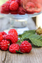 Raspberry berry on the bench