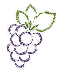 grapes fresh fruit icon vector illustration design