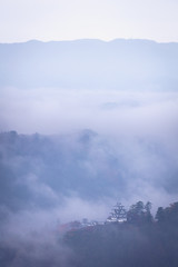 岐阜県 郡上八幡城 雲海