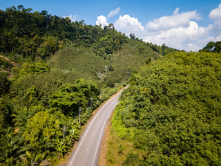 Aerial drone view of a small road running through tropical rainforest and plantations