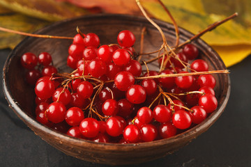 Ripe red berries of a viburnum in a plate