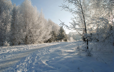 Winter white frost trees and footpath in snowdrifts.