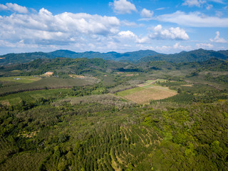 Aerial drone view of deforestation of a tropical rainforest to make room for palm oil and rubber plantations