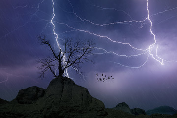 Powerful lightnings in dark stormy sky, weather forecast concept