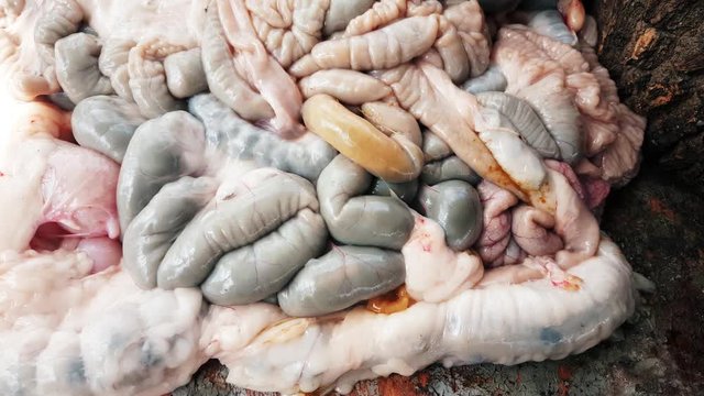Visceral organs of a sheep sacrificed for Eid Al-Adha (Sacrifice Feast).