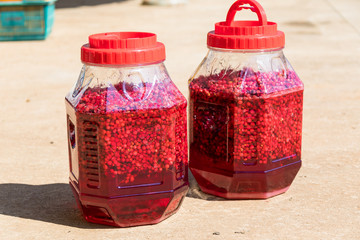 Schizandra Omija of korea