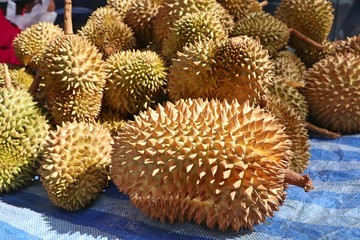 Naklejka na ściany i meble Durian fruit at street food