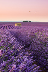 Plateau de Valensole 2018