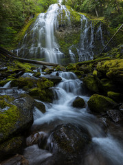 Proxy Falls is a beautiful waterfall in Three Sister Wilderness.