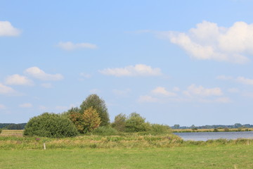 Natur am Breiten Wasser in der Hammeniederung im Sommer