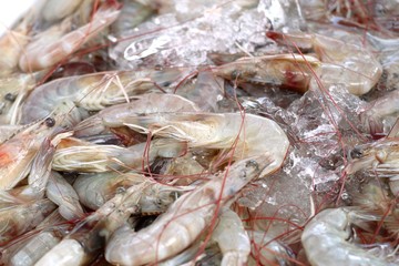 fresh shrimp at street food