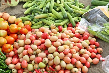 tomatoes at the market