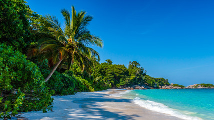 Fototapeta na wymiar A deserted sandy beach on a beautiful remote tropical island (Similan Islands)