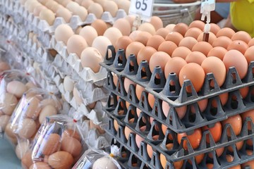 brown egg in the market