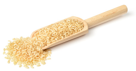 raw brown rice in the wooden scoop, isolated on the white background