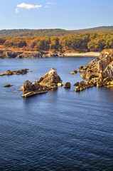Beautiful landscape on rocky shore