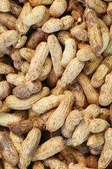Boiled peanuts at street food