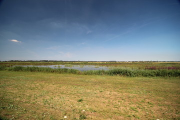 fields in the Eendragtspolder in Zevenhuizen the Netherlands, a polder used for water storage to protect Rotterdam agains flooding.