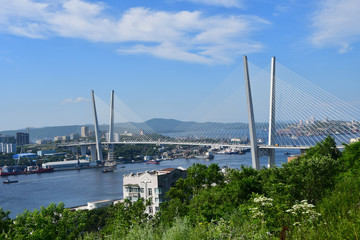 Obraz premium ostok, Russia. View for Vladivostok city in summer in sunny day. Cable-stayed bridge over Zolotoy Rog Bay in Vladivostok 