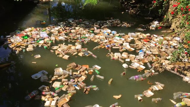 Floating garbage in a canal by the sea in Dominican Republic