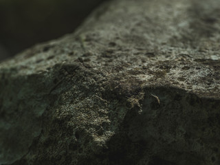 Stone texture