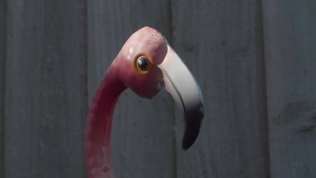 Pink Flamingo Lawn ornament head