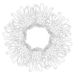 Chrysanthemum Outline Flower Wreath
