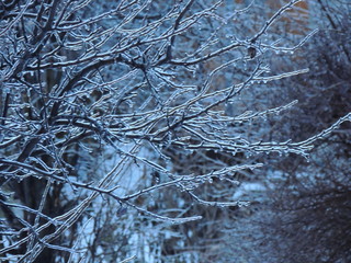 winter