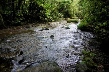 Wild river in the Braulio Carrillo National Park