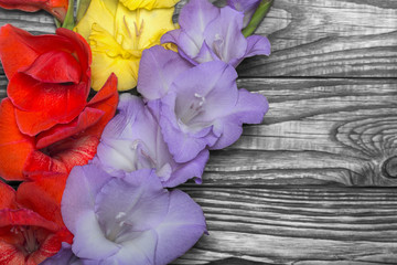 Obraz premium Beautiful gladiolus flowers on wooden background
