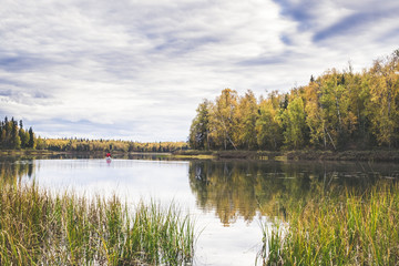 Canoe on the Alaskan lake, green water reed, red canoe, north of Alaska, Christiansen Talkeetna lake.
