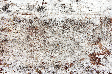 grunge background. texture background