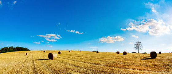 Landschap in de zomer met hooibalen op een veld en blauwe lucht met felle zon op de achtergrond