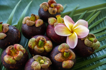 Group of Fresh Exotic Tropical Thai Fruit Mangosteens (Garcinia mangostana) on Banana Leaf