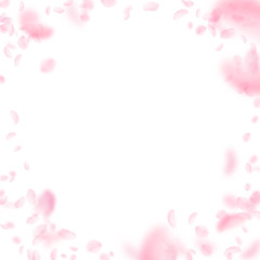 Sakura petals falling down. Romantic pink flowers vignette. Flying petals on white square background