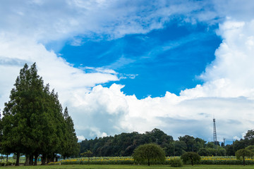 Akebono Agricultural Park in Kashiwa City, Chiba Prefecture