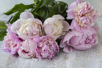 bouquet of pink peonies close up on a wooden white table