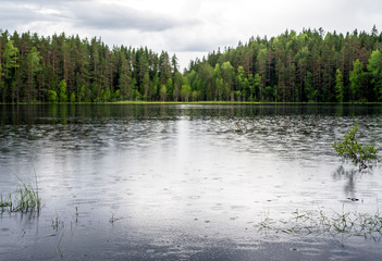 Rainy in the forest on the lake