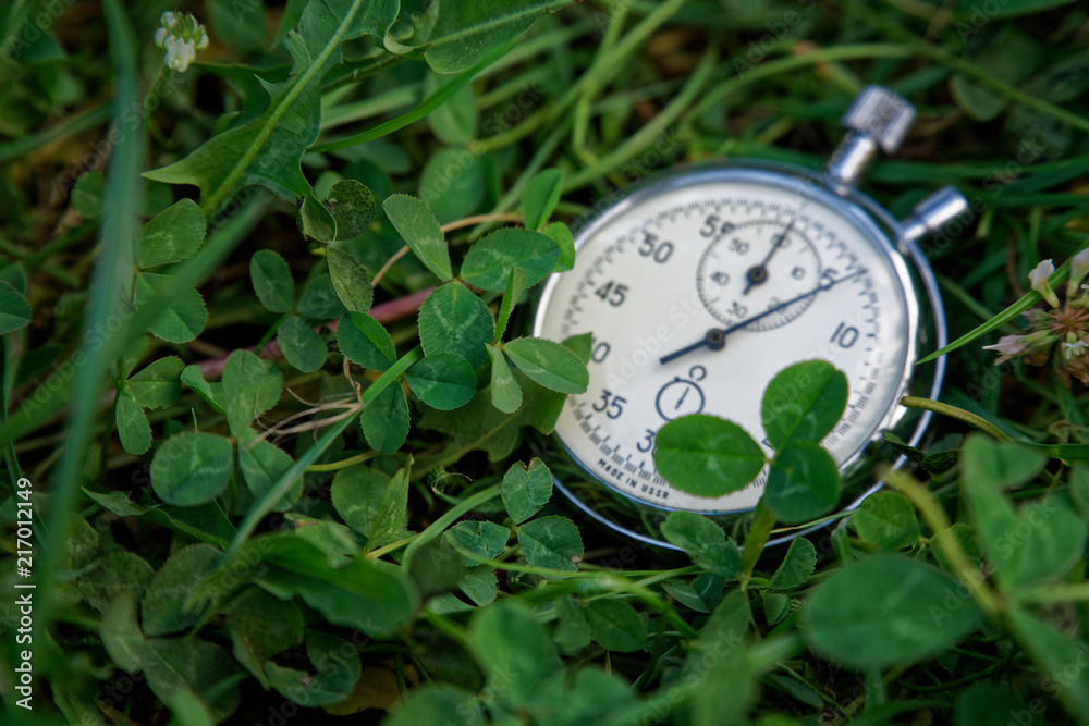 Wall mural stopwatch lies on green grass, sportive concept