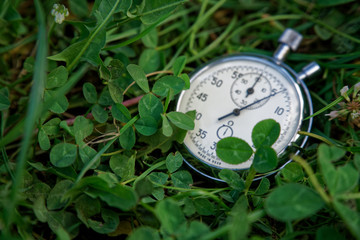 Stopwatch lies on green grass, sportive concept