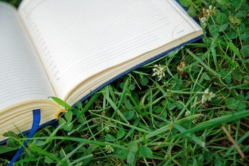 Open notepad on the green grass in park