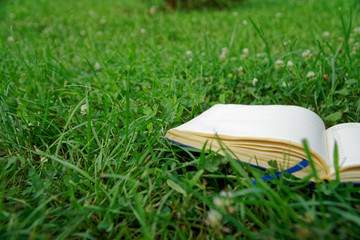 Open notepad on the green grass in park