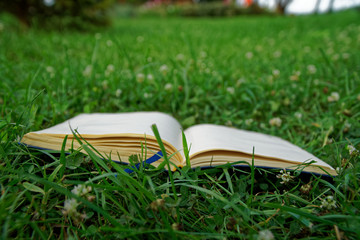 Open notebook on the green grass in park