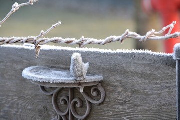 Brass bird with frost needles
