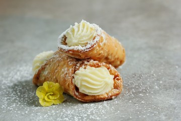 Cannoli with Ricotta cheese filling / Italian Pastry, selective focus